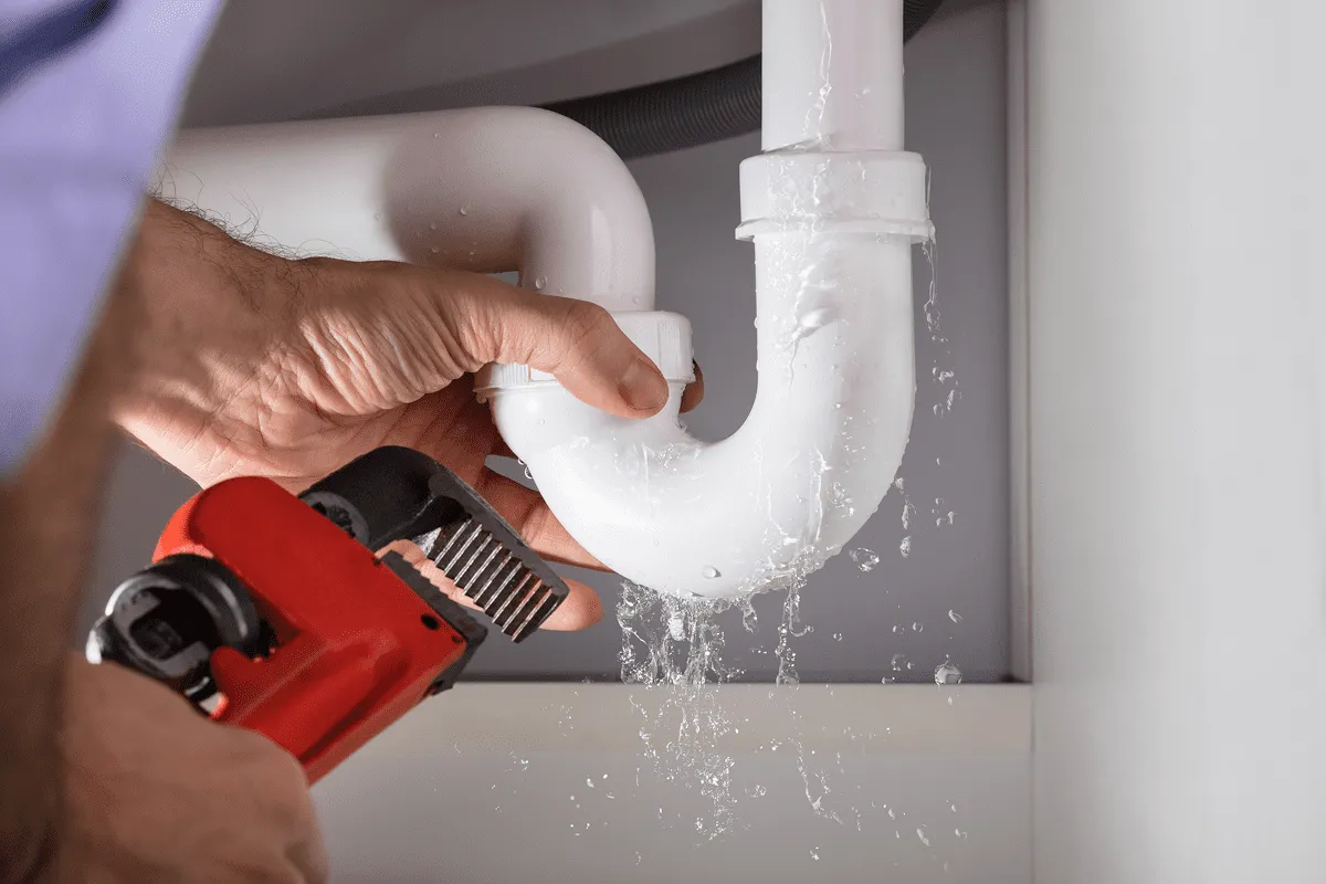 plumbing leak detection